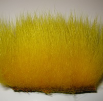 polar bear yellow premium